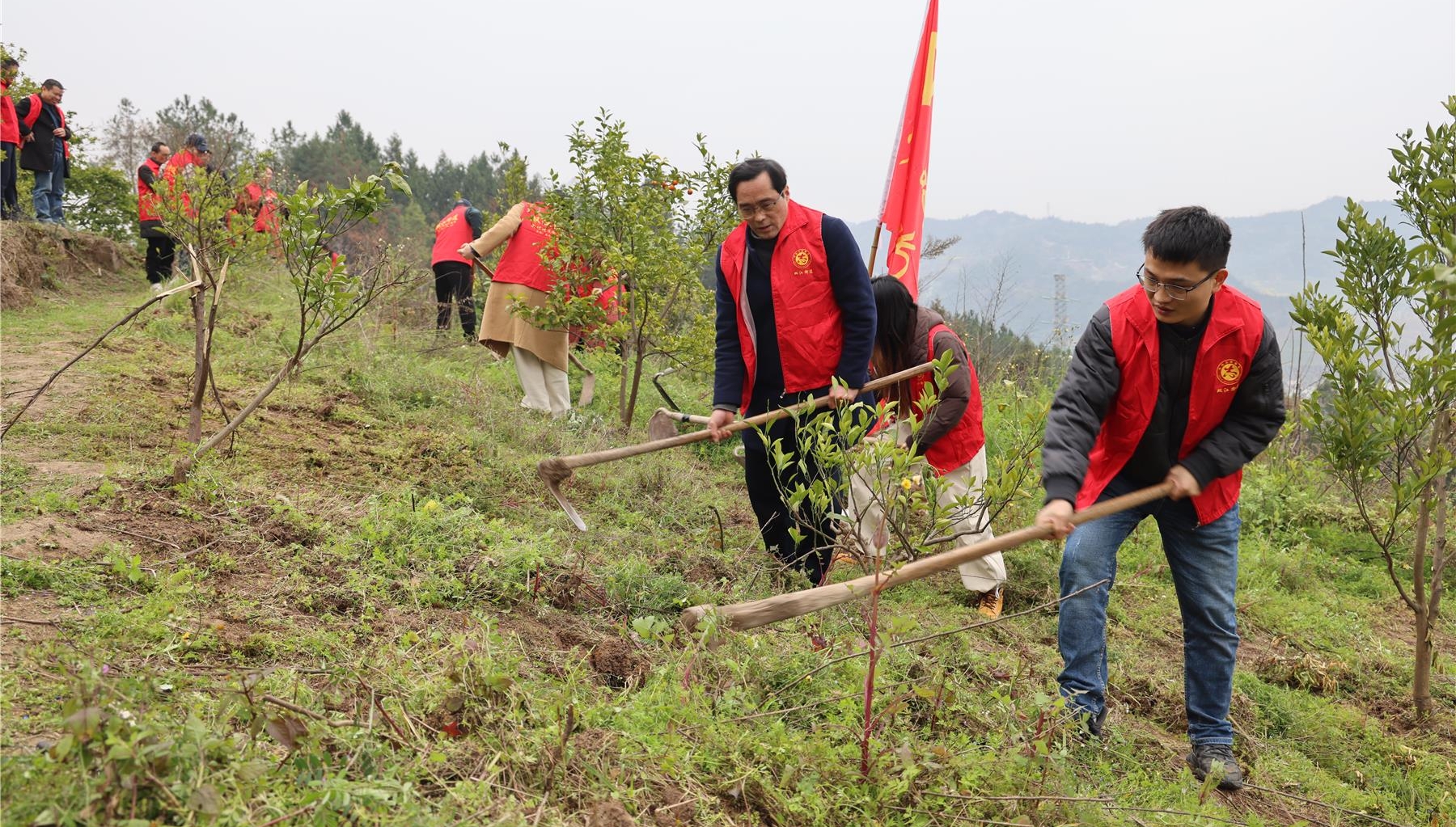  雙江街道開展“護林護路”志愿活動